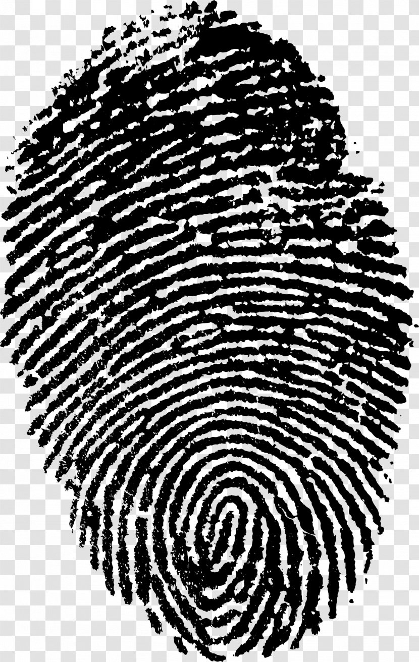 Espionage Photography Fingerprint Counterintelligence Image - El Salvador - Surveillance Transparent PNG
