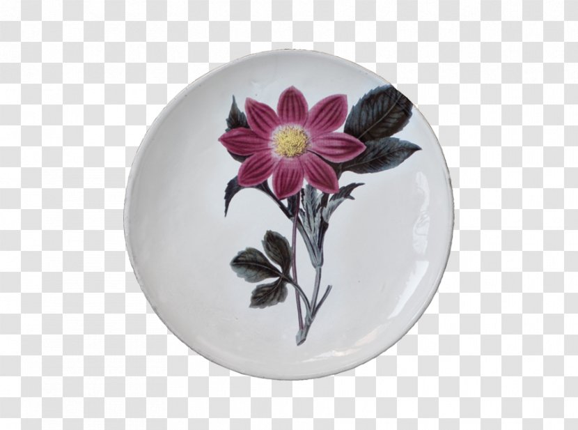 Plate Ceramic Porcelain Dahlia Tableware Transparent PNG