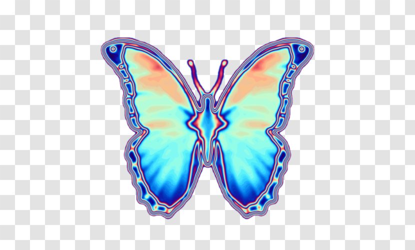 Butterfly Insect Iridescence Moth - Pollinator Transparent PNG