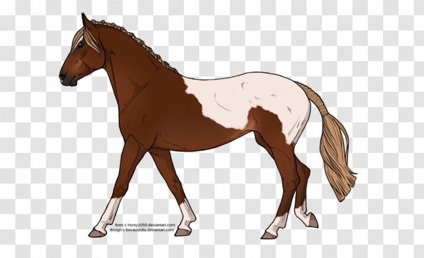 Mustang Foal Stallion Colt Pony - Rein Transparent PNG