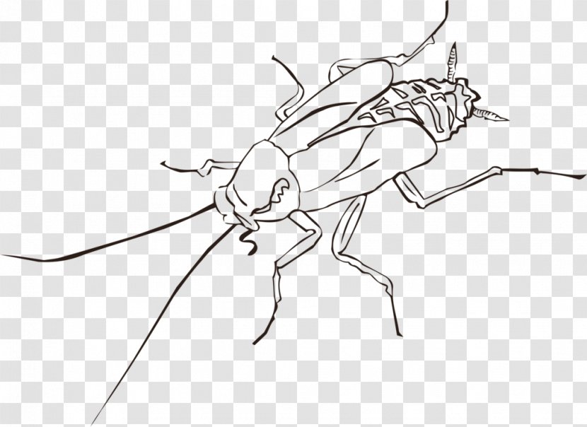 Cockroach Clip Art Insect Openclipart - Grasshopper Transparent PNG