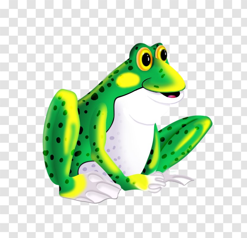 Toad Pool Frog Edible Clip Art - Reptile Transparent PNG