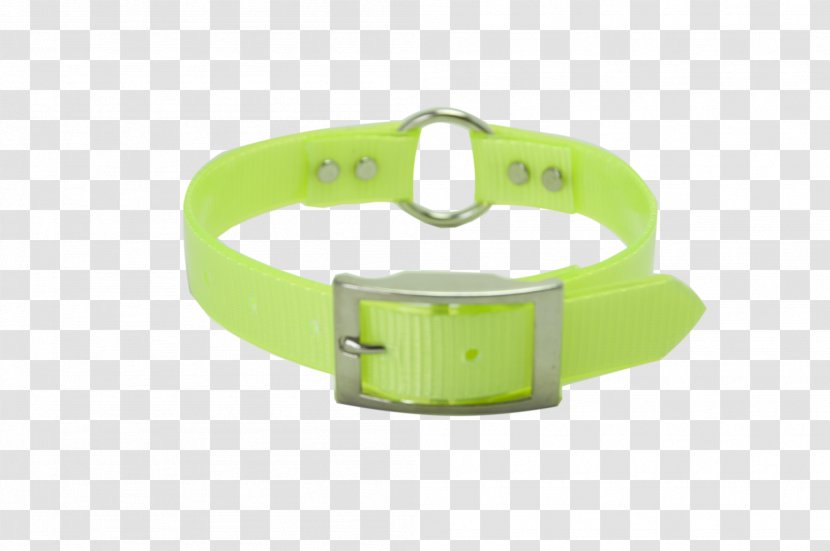 Dog Collar Watch Strap - Accessory Transparent PNG