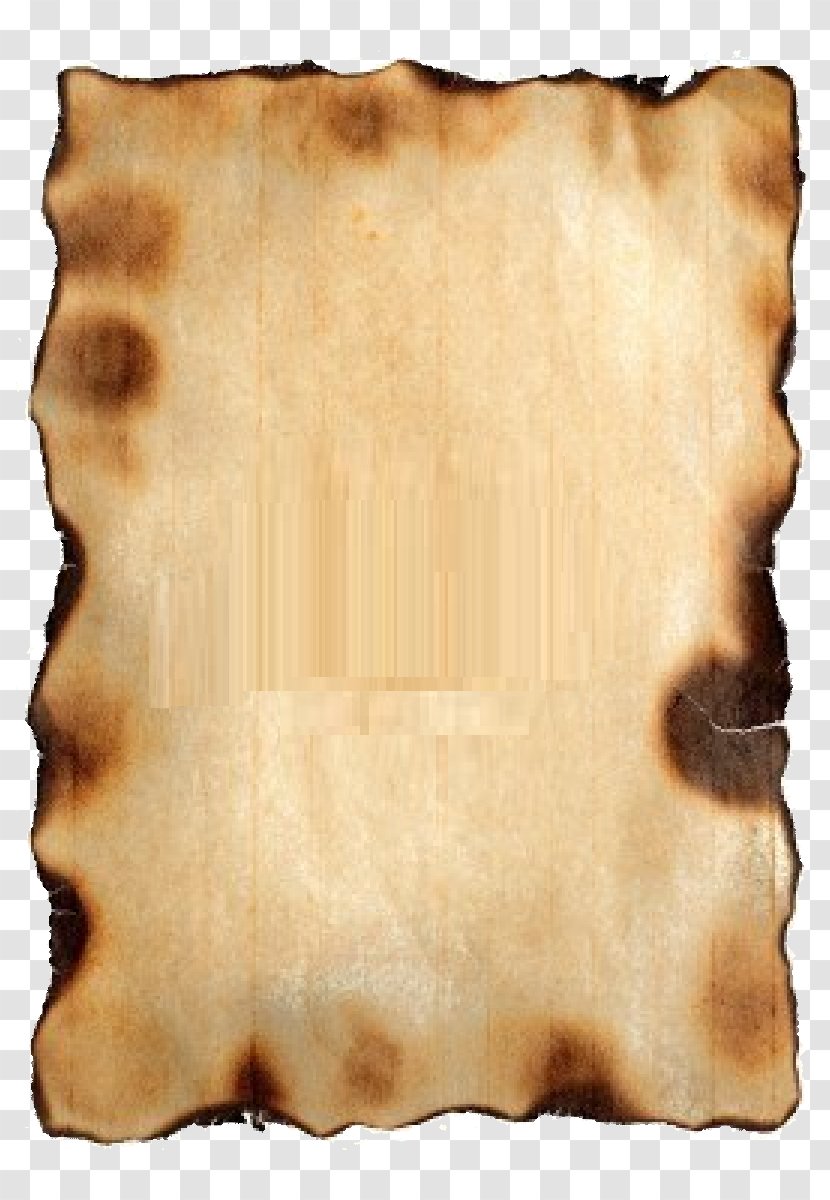 Paper Texture Parchment Photography Wallpaper - Money Transparent PNG