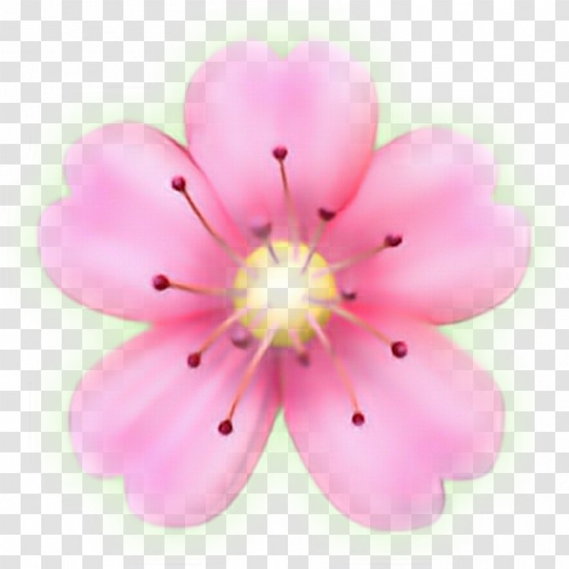 Flower Emoji Sticker Petal PicsArt Photo Studio Transparent PNG