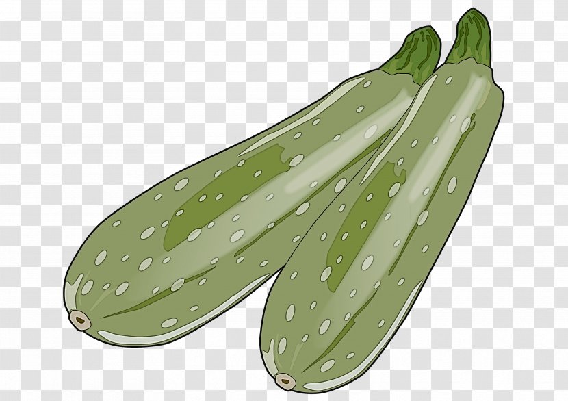 Green Plant Leaf Cucumber Vegetable - Gourd And Melon Family - Food Transparent PNG