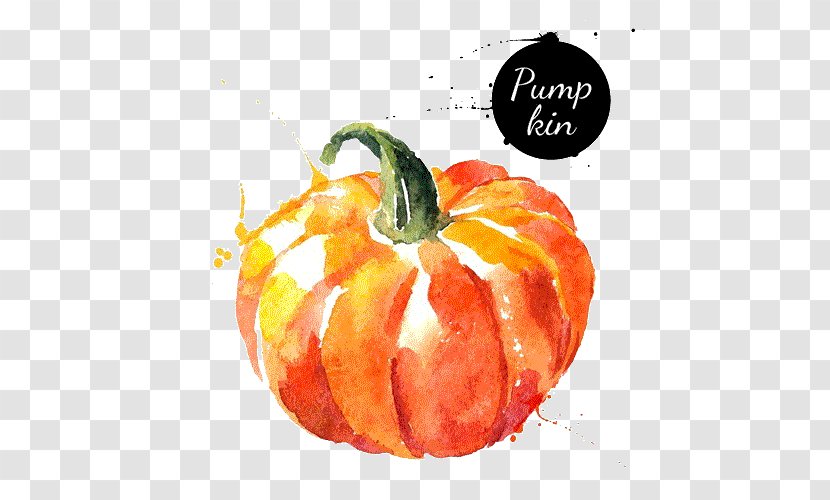 Watercolor Painting Vegetable Drawing - Hand Painted Pumpkin Transparent PNG