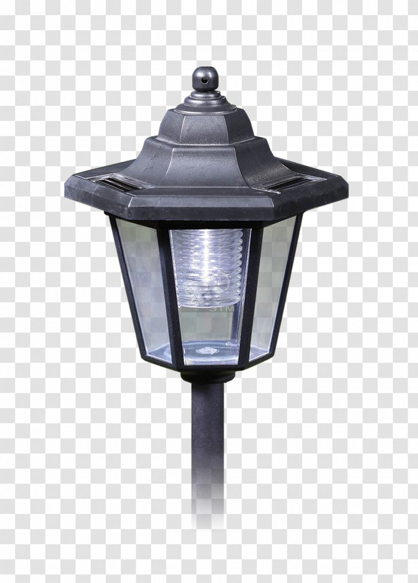 Light Fixture Lantern Street Lighting Garden - Ornamental Plant Transparent PNG