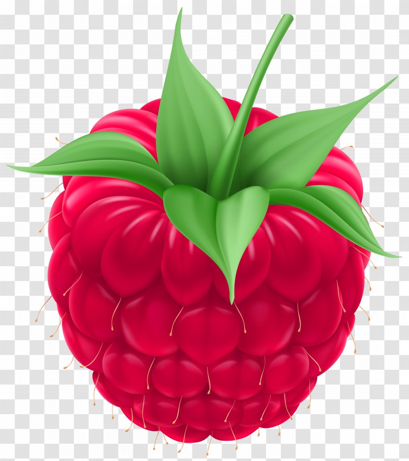 Raspberry Royalty-free Clip Art - Food - Image Transparent PNG