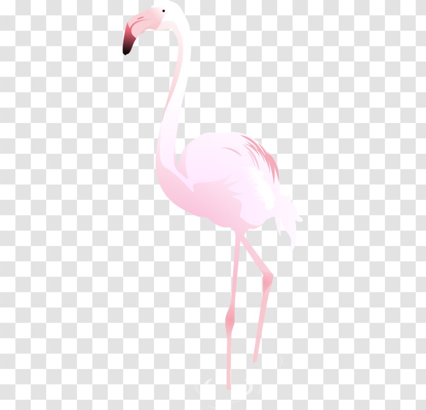 Cygnini Bird Goose - Dinosaur - Pink Swan Transparent PNG