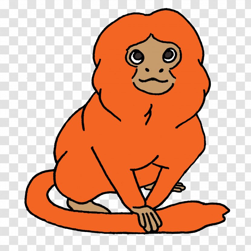 Golden Lion Tamarin Monkey Clip Art - Species Transparent PNG