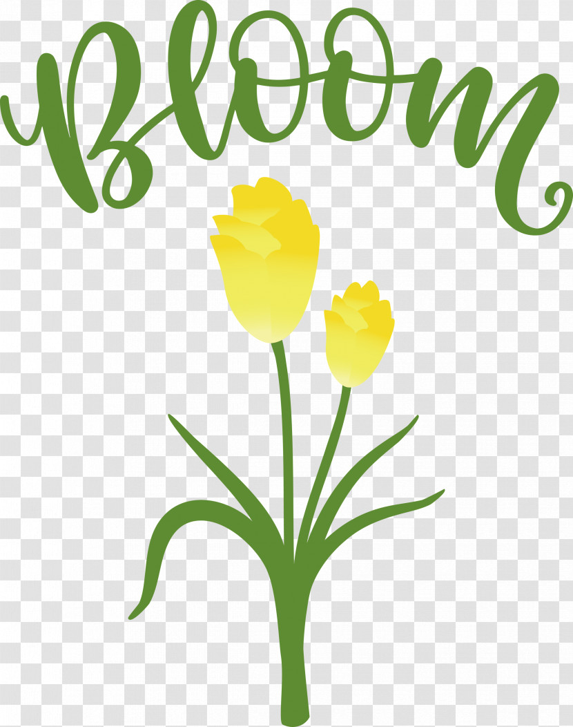 Bloom Spring Flower Transparent PNG