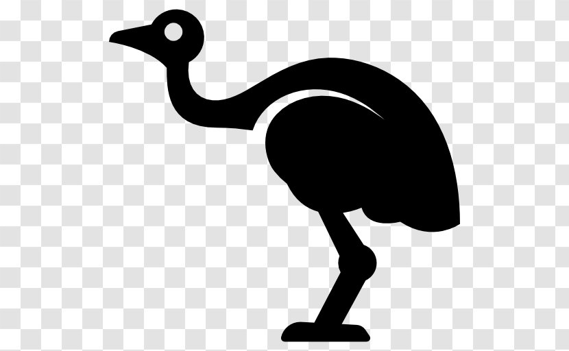 Common Ostrich Bird Emu - Beak Transparent PNG