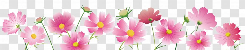 Tulip Flora Desktop Wallpaper Computer Plant Stem - Pink Transparent PNG