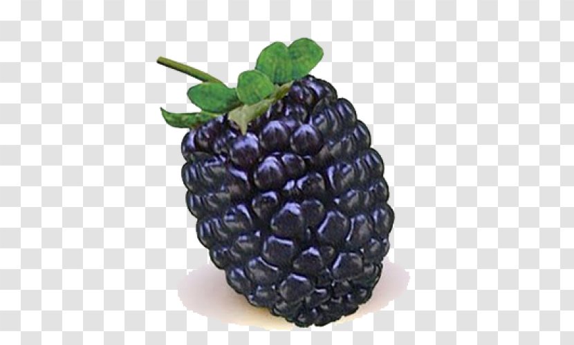BlackBerry Storm 2 Fruit - Raspberry - Blackberry Transparent PNG