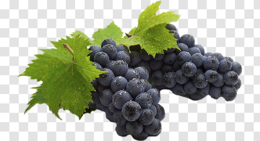 Sultana Isabella Wine Kyoho Cabernet Sauvignon - Grape Seed Extract - Grapes Watercolor Transparent PNG