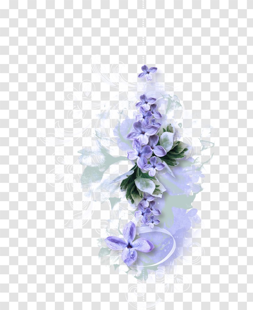 Lavender - Bellflower Family - Delphinium Transparent PNG