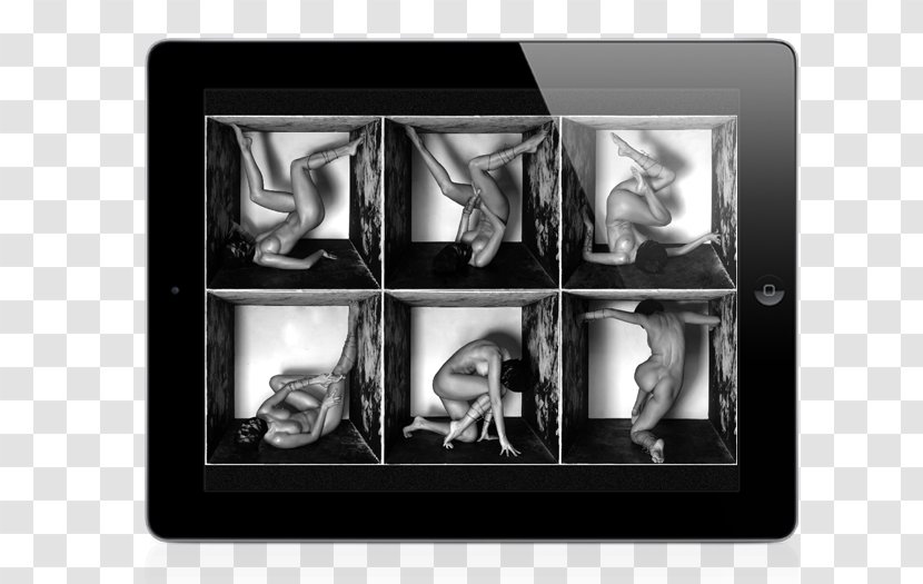 Picture Frames Multimedia Rectangle - Monochrome - Elena Kaufmann Photography Design Transparent PNG