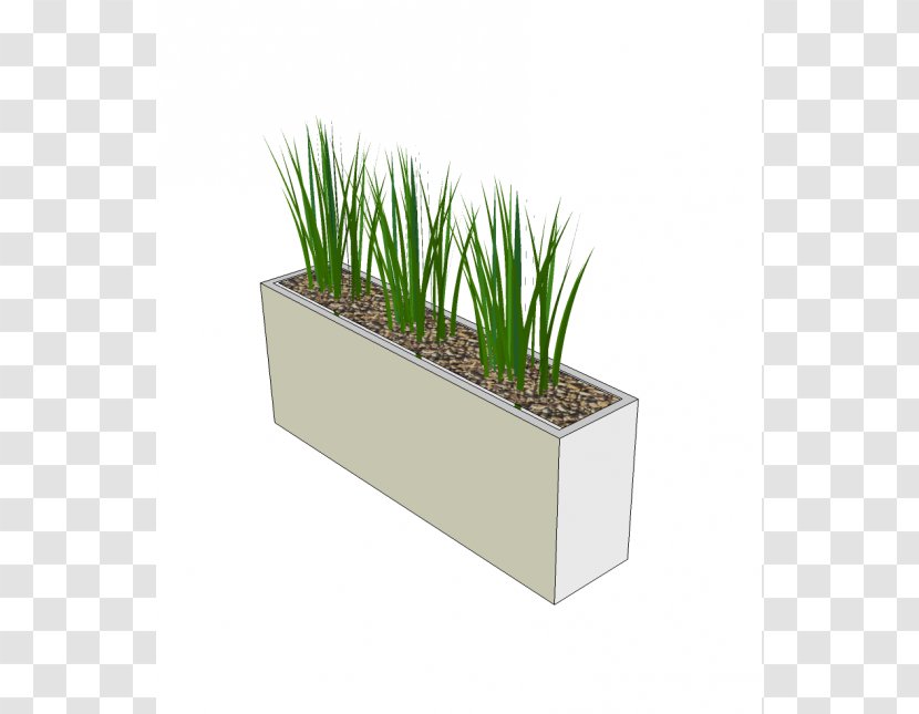 Flowerpot Autodesk Revit Houseplant SketchUp - Sketchup - Plant Transparent PNG