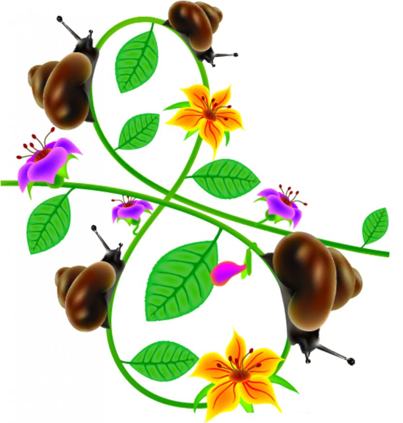 Clip Art - Insect - Fleur StylisÃ©e Transparent PNG
