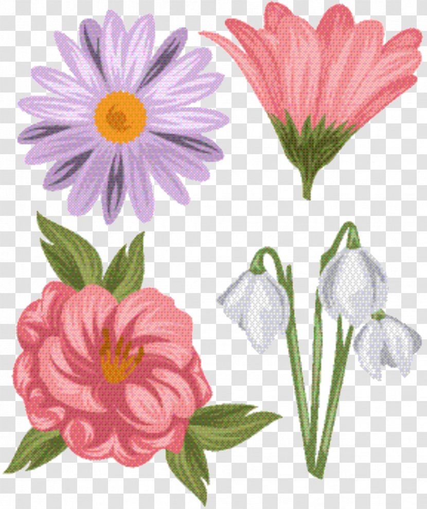 Pink Flower Cartoon - Pedicel - Daisy Transparent PNG