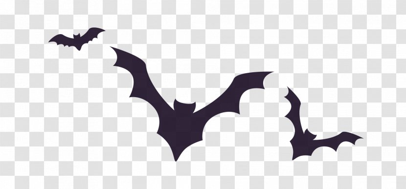 Halloween Euclidean Vector Illustration - White - Black Bat Transparent PNG