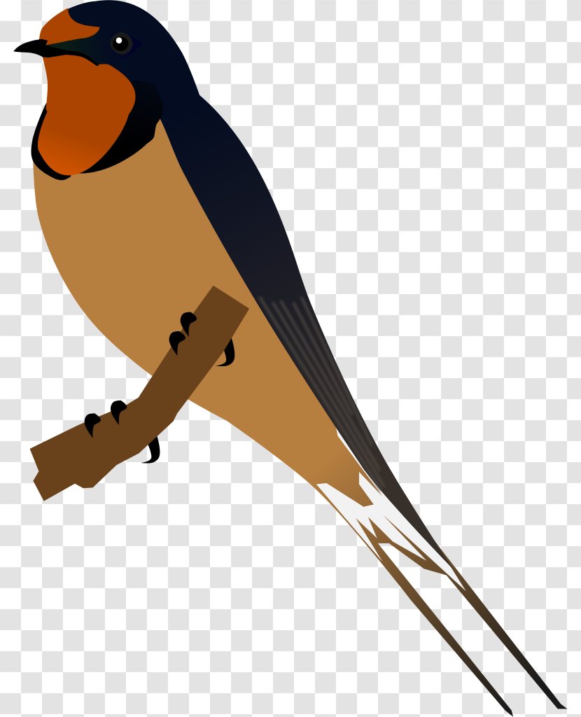 Swallow Bird Clip Art - European Robin - Barn Transparent PNG