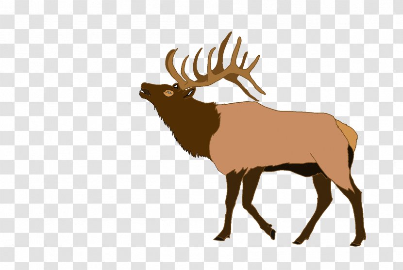 Elk Deer Clip Art - Fauna - Cl Cliparts Transparent PNG