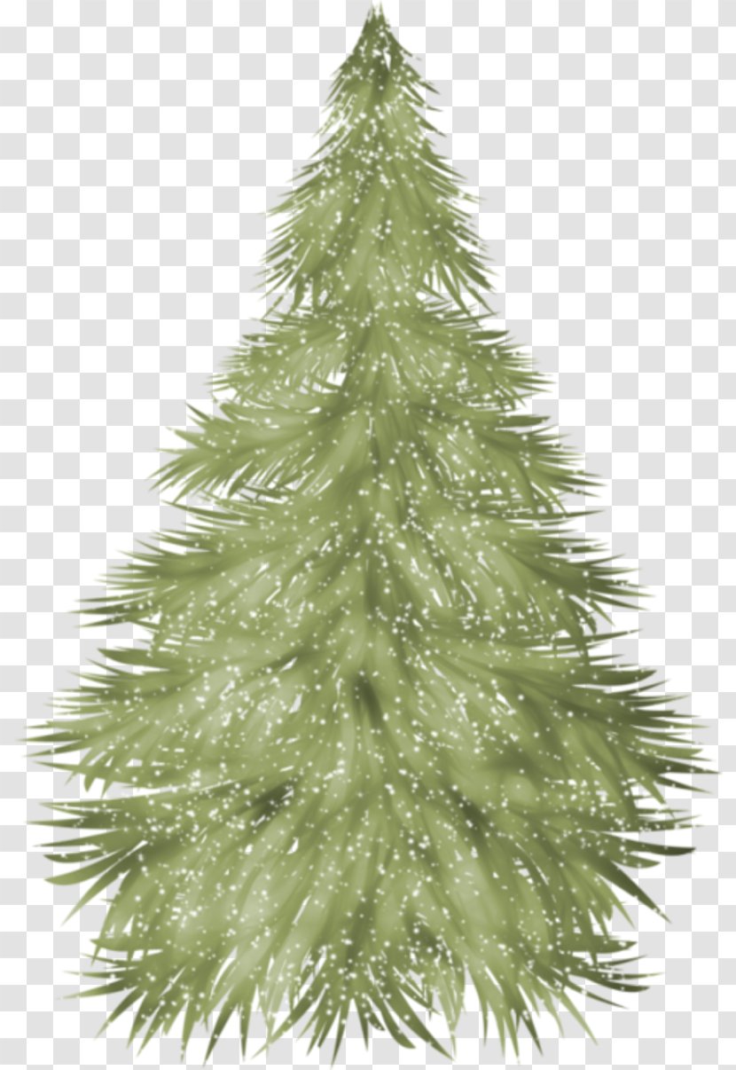 Spruce Christmas Tree Fir Ornament - Decoration Transparent PNG