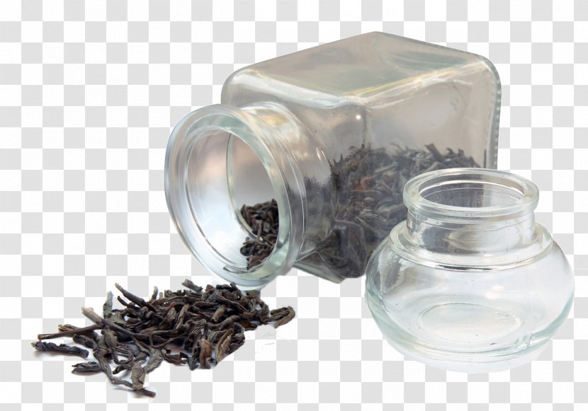 Green Tea Oolong Dietary Supplement Herb - Caffeine - Cup Of Transparent PNG