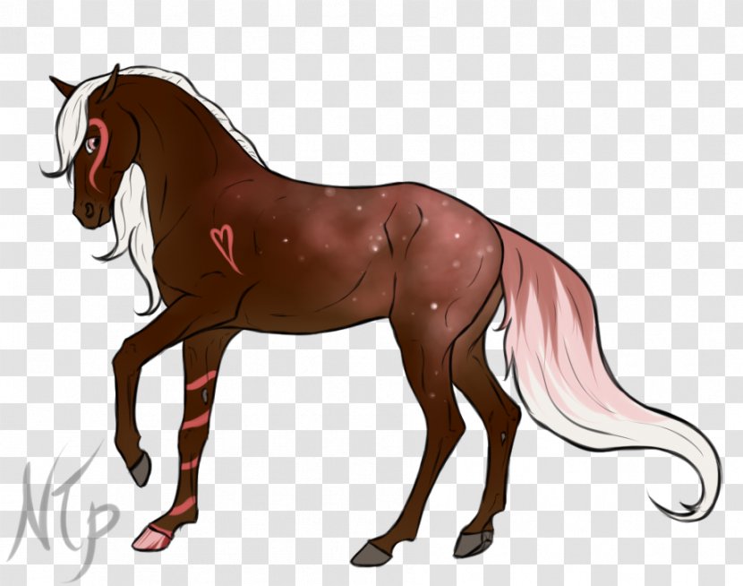 Mane Mustang Stallion Foal Pony - Vertebrate Transparent PNG