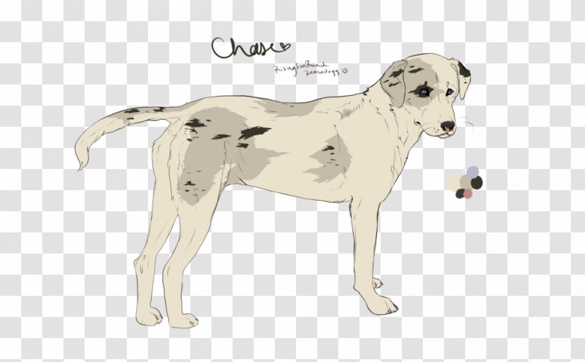 Dog Breed Sporting Group Crossbreed - Tail Transparent PNG