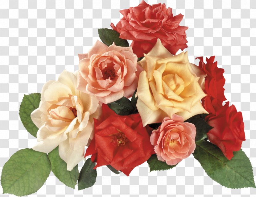 Desktop Wallpaper Garden Roses Flower Clip Art - Rose Transparent PNG