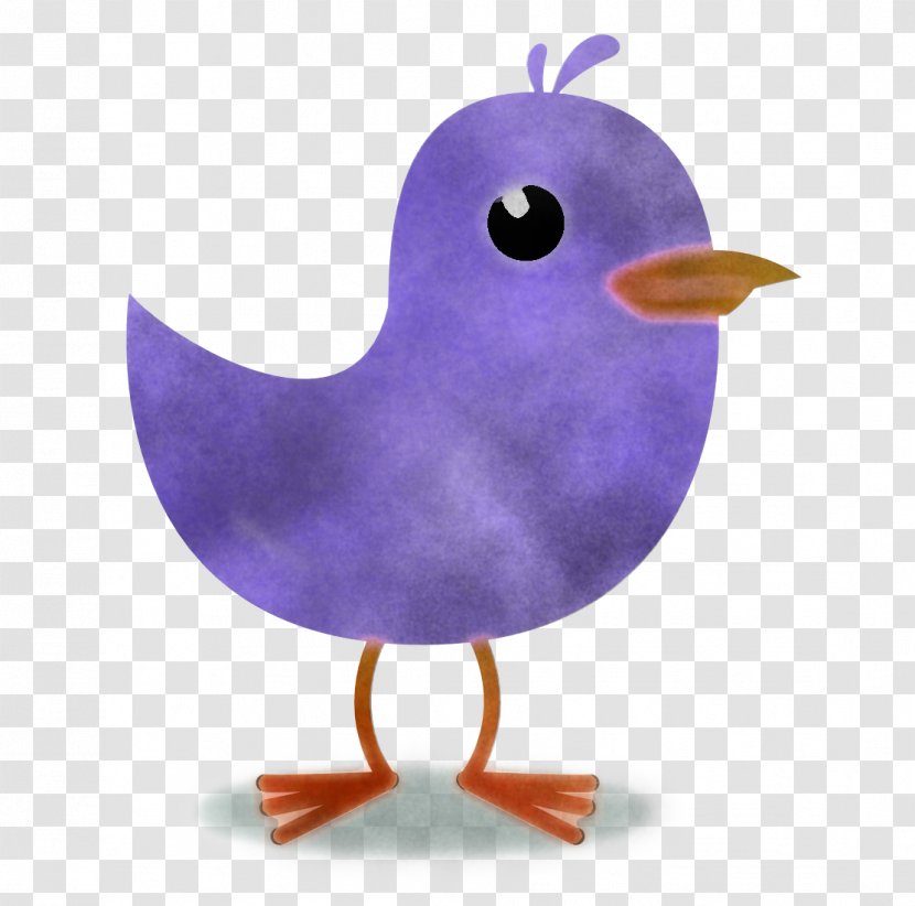 Purple Bird Beak Violet Transparent PNG