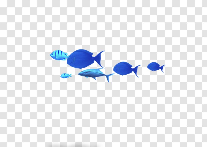 Blue Common Carp Fish - Symmetry Transparent PNG