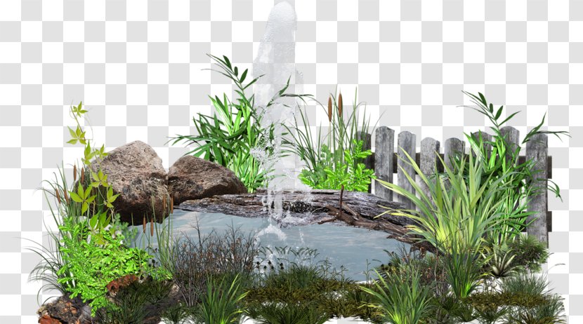 Pond Lawn Clip Art - Grass Transparent PNG