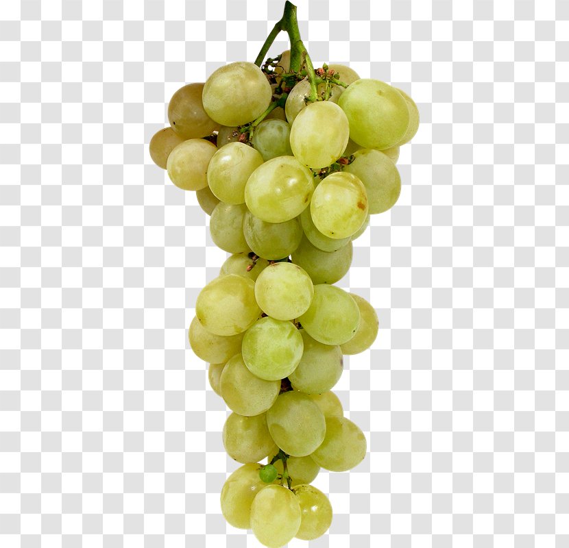 Sultana Kyoho Grape Wine Seedless Fruit - Grapevine Family Transparent PNG