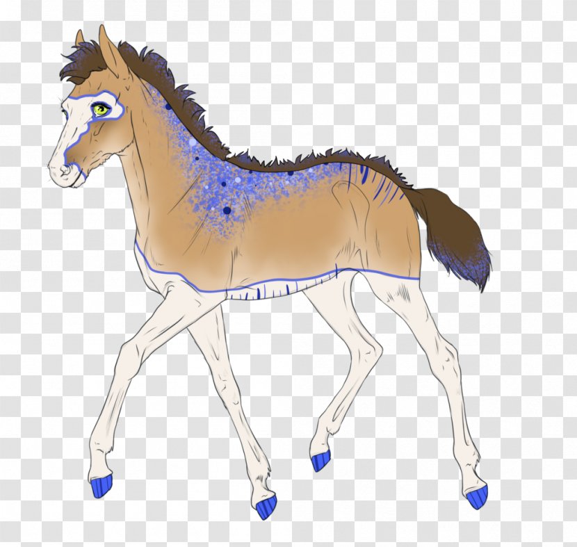 Foal Mustang Colt Stallion Mare - Organism Transparent PNG