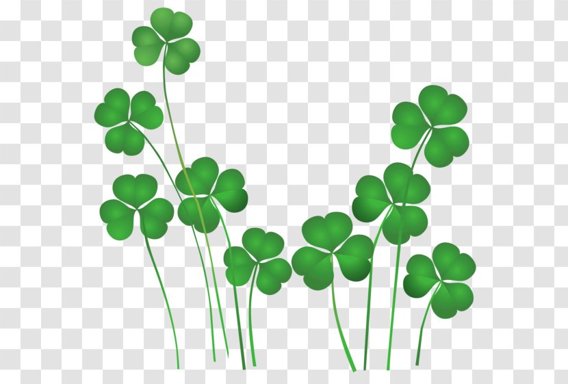 Ireland St. Patricks Day Shamrocks Saint National ShamrockFest Public Holiday - Shamrockfest - Irish Flower Cliparts Transparent PNG