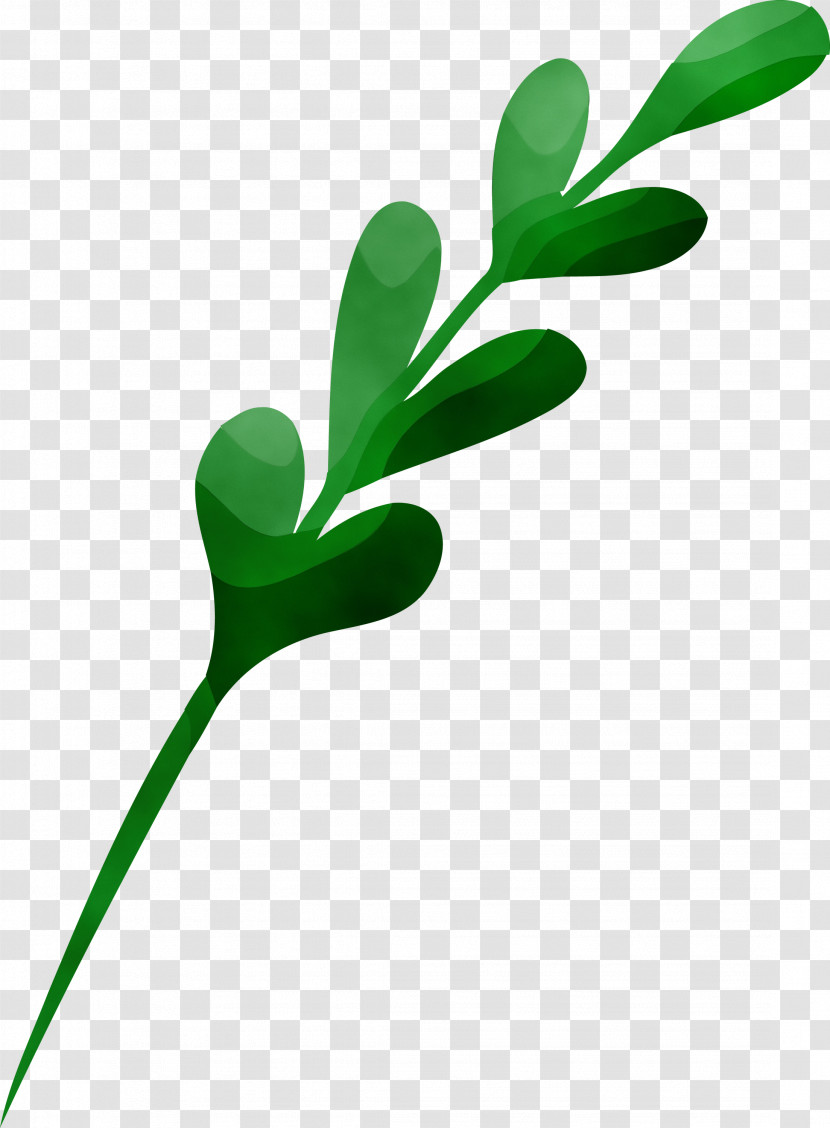 Green Leaf Plant Flower Pedicel Transparent PNG