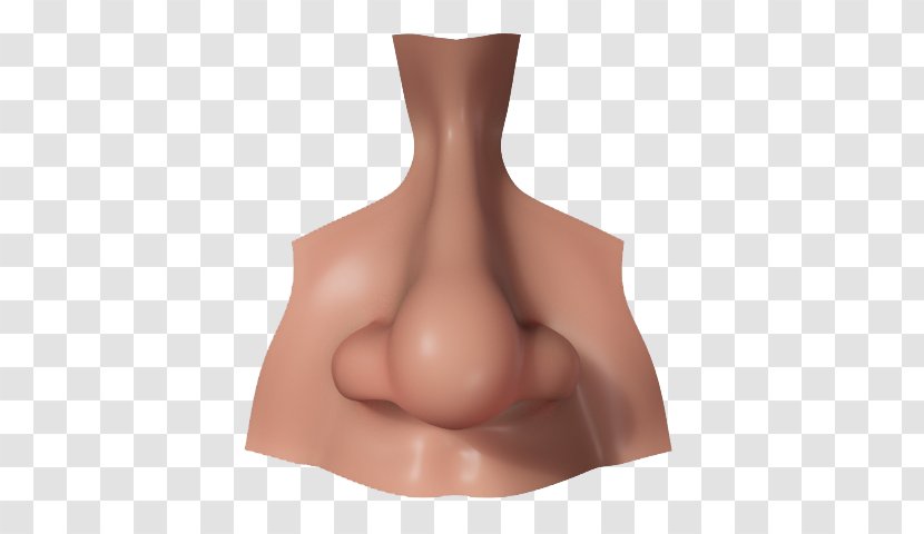 Human Nose 3D Computer Graphics CGTrader Modeling - Tree - Picture Transparent PNG