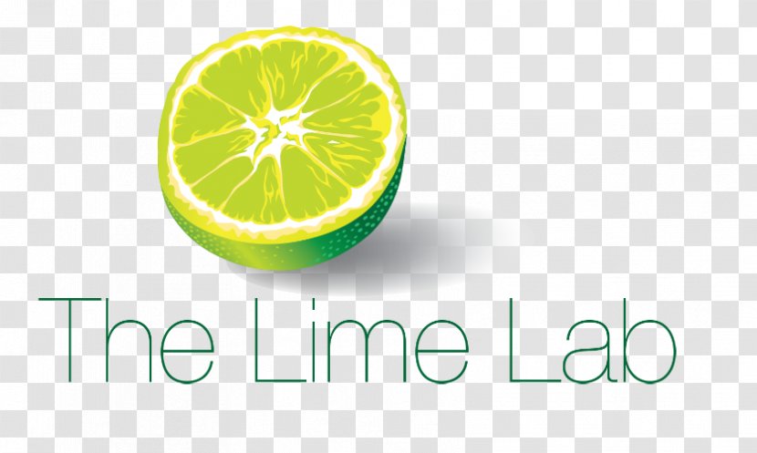 Key Lime Persian Lemon Digital Marketing - Citric Acid Transparent PNG