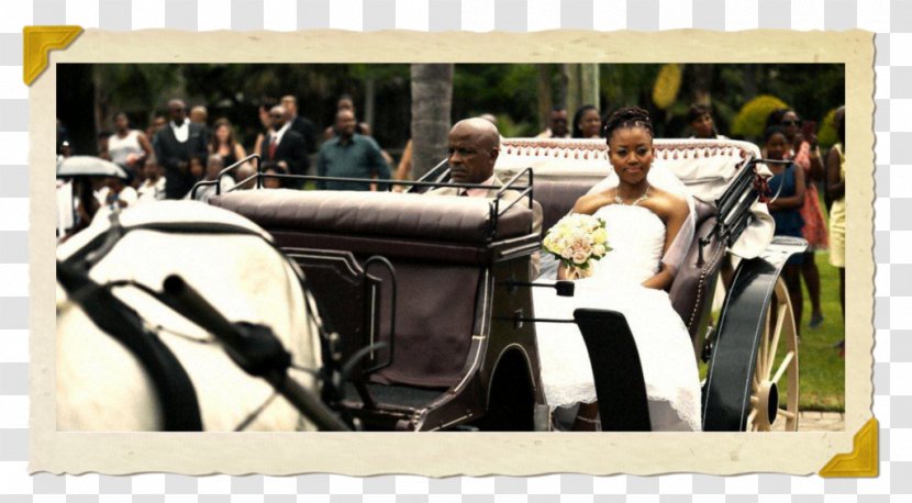 The Royal Trot Carriage Horse-drawn Vehicle - South Africa - Wedding Transparent PNG