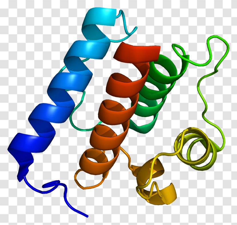NDC80 Kinetochore Protein NUF2 SPC24 - Frame - Flower Transparent PNG