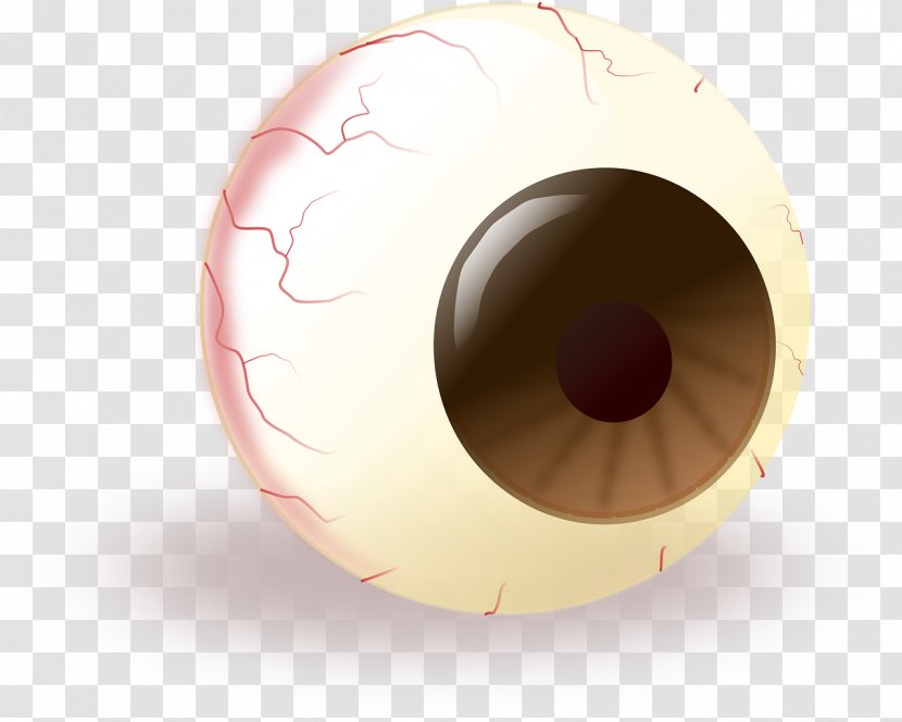 Eye Clip Art - Cartoon Transparent PNG