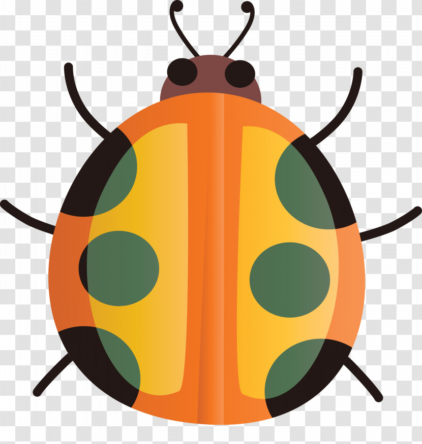 Orange Transparent PNG