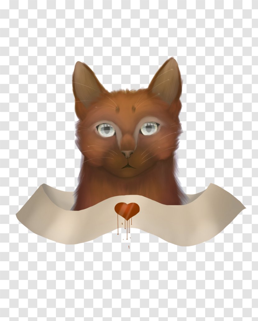 Whiskers Kitten Tail - Cat Like Mammal Transparent PNG