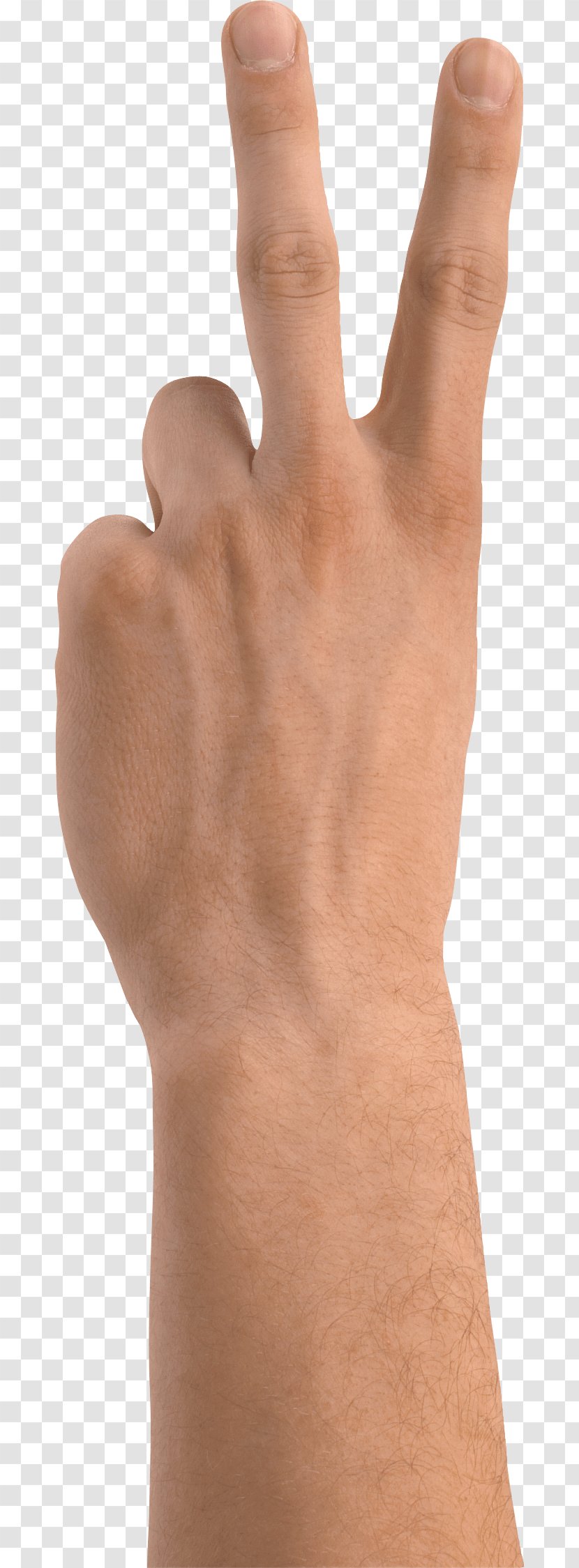 Hand Gesture - Wrist - Hands Image Transparent PNG