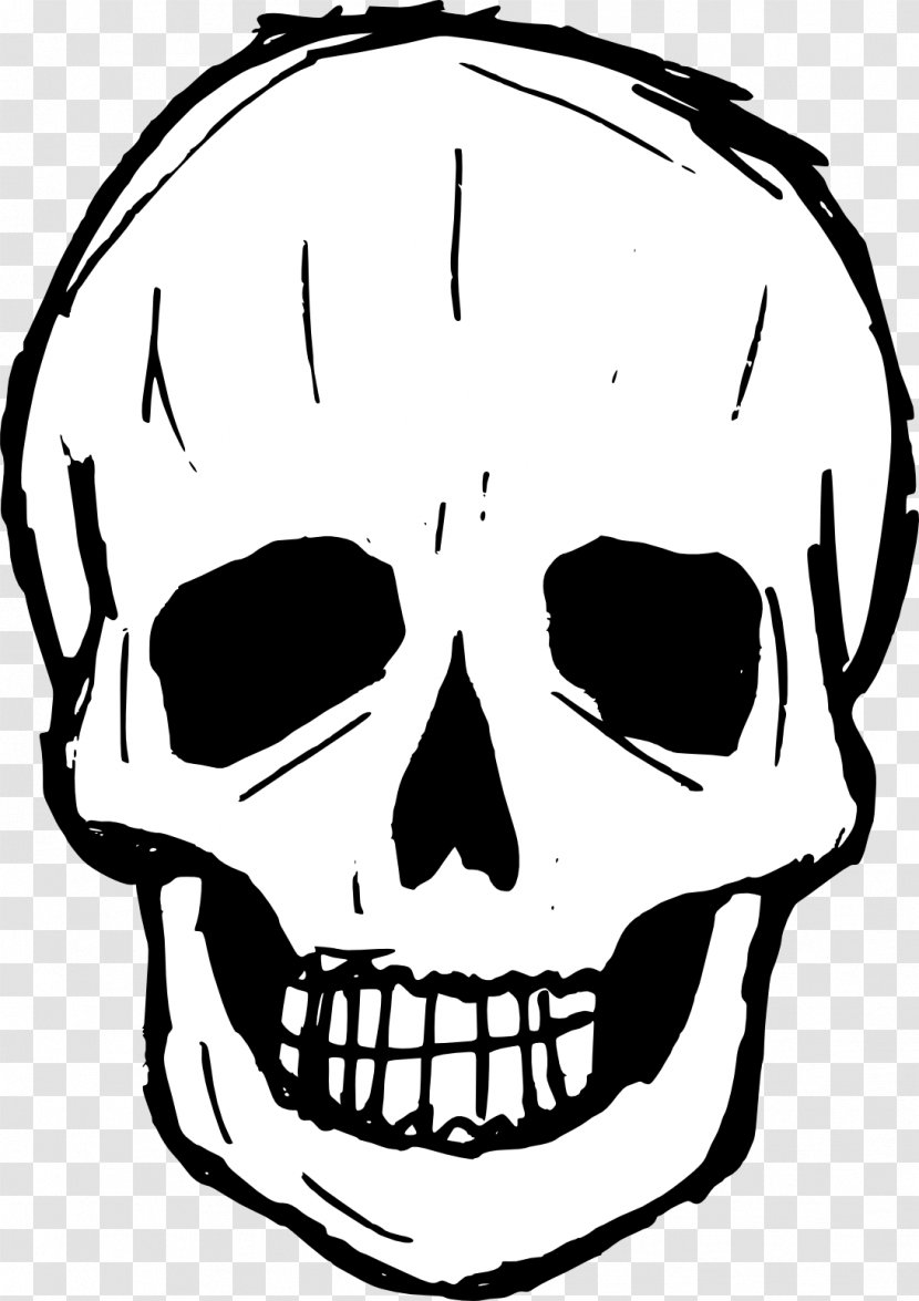 Skull Drawing Clip Art - Line Transparent PNG