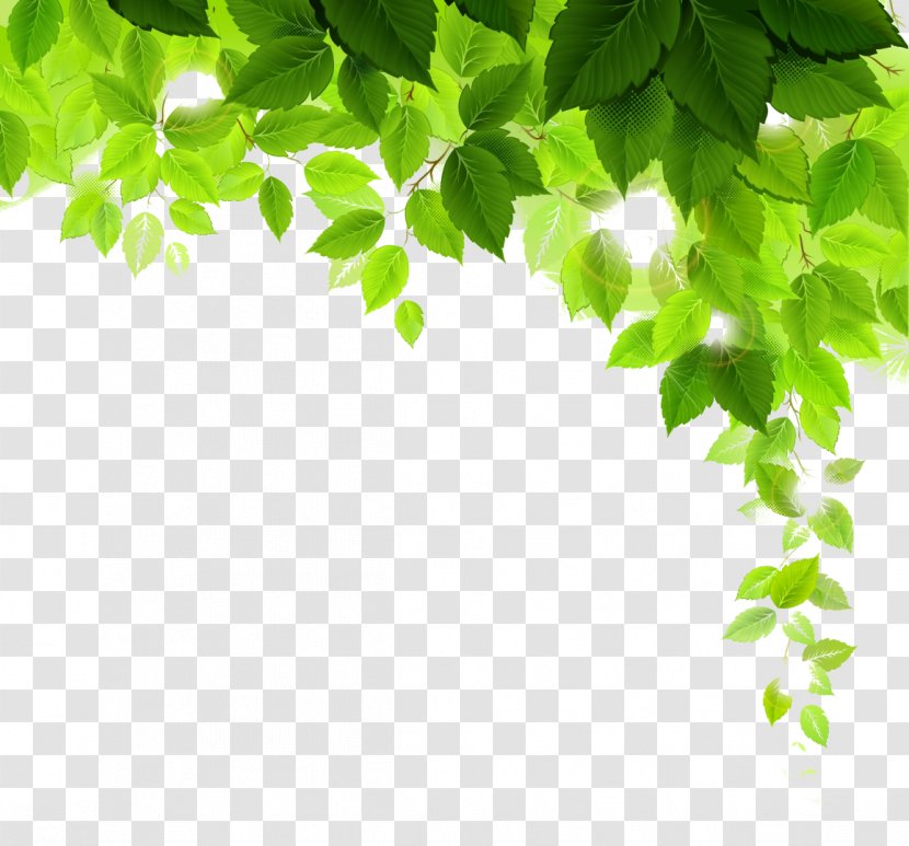 Plant Desktop Wallpaper Tree - Grass - Green Leaves Transparent PNG